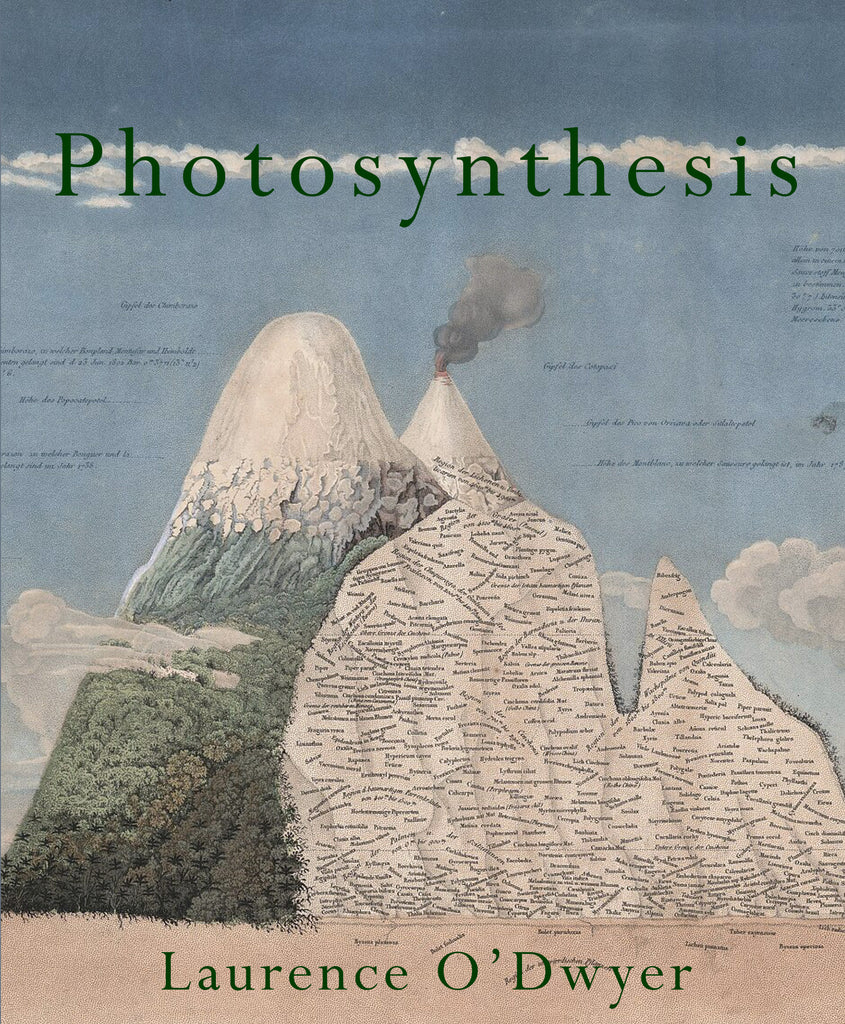 Photosynthesis