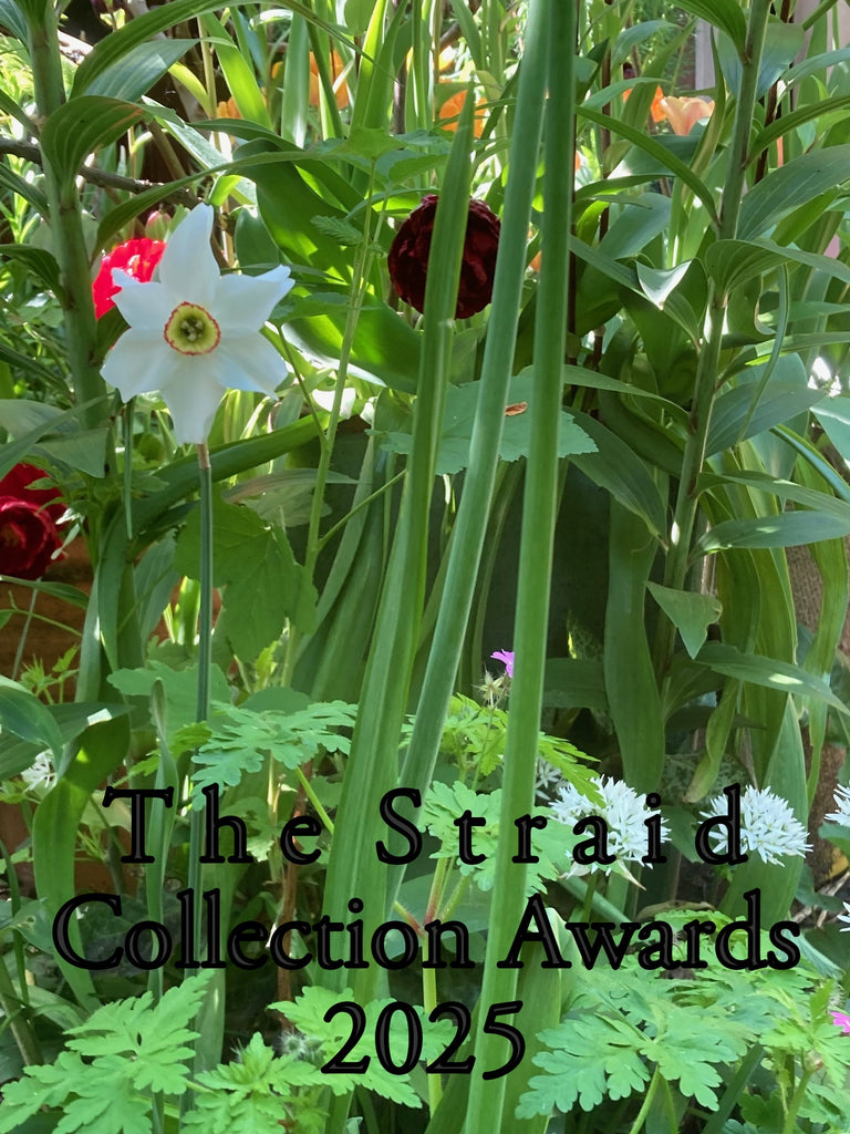 STRAID COLLECTION AWARDS | 2025