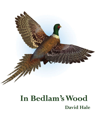 In Bedlam's Wood